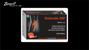 Fevivestin-500-CURVE-300x169 Tablets  