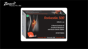 Fevivestin-500-CURVE-300x169 Tablets 