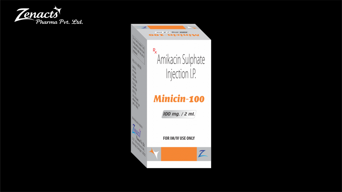 Minicin-100 Injectables 