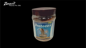 PROTOZEX-1-300x169 cream  