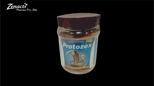 PROTOZEX-1-300x169 cream 