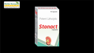 Stonact-300x169 Ayurvedic 